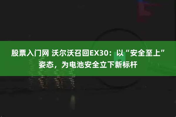 股票入门网 沃尔沃召回EX30：以“安全至上”姿态，为电池安全立下新标杆
