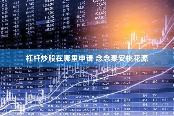 杠杆炒股在哪里申请 念念秦安桃花源